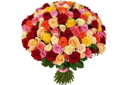 51 multi-colored roses